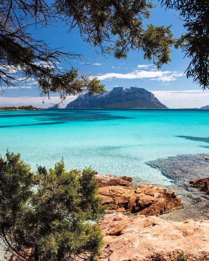 Porto Istana Beach House Olbia Kültér fotó